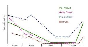 Cortisol im Tagesverlauf